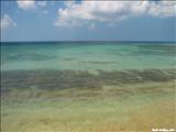 Playa el Gallito - VIEQUES
